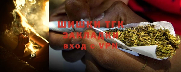 амф Дмитров