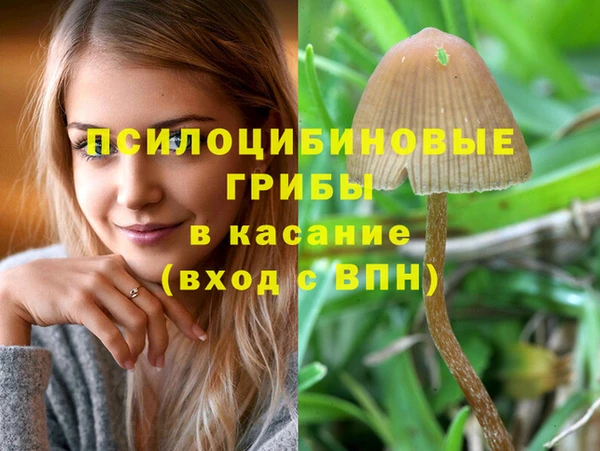 амф Дмитров