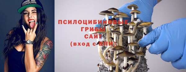 мескалин Дмитриев