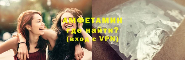 гидра Няндома