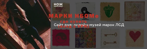 амф Дмитров