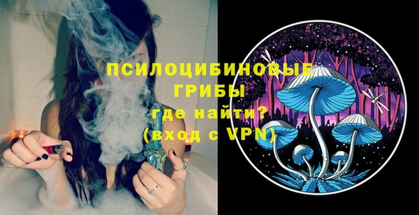 индика Лагань
