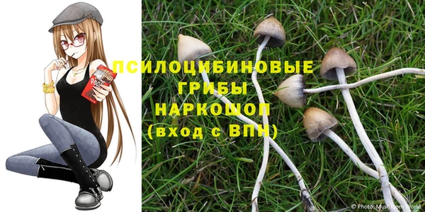 мескалин Дмитриев