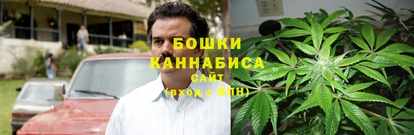 амф Дмитров