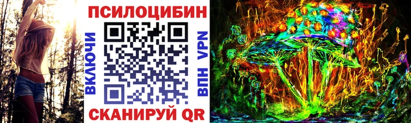 хочу Заволжск Галлюциногенные грибы Psilocybe
